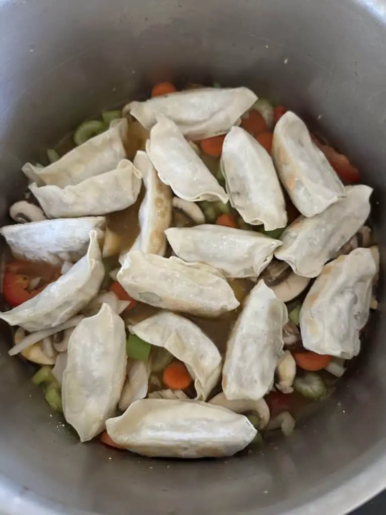 Frozen gyoza placed on top of veggies.