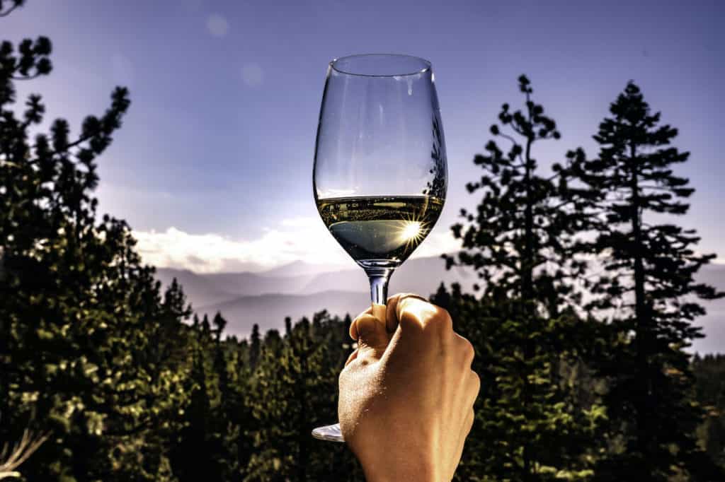 Holding up a nautral white wine glass with a gorgeous mountain backdrop.