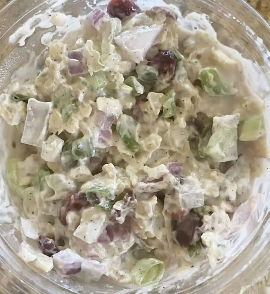 Vegan chicken salad at New Moon Natural Foods.