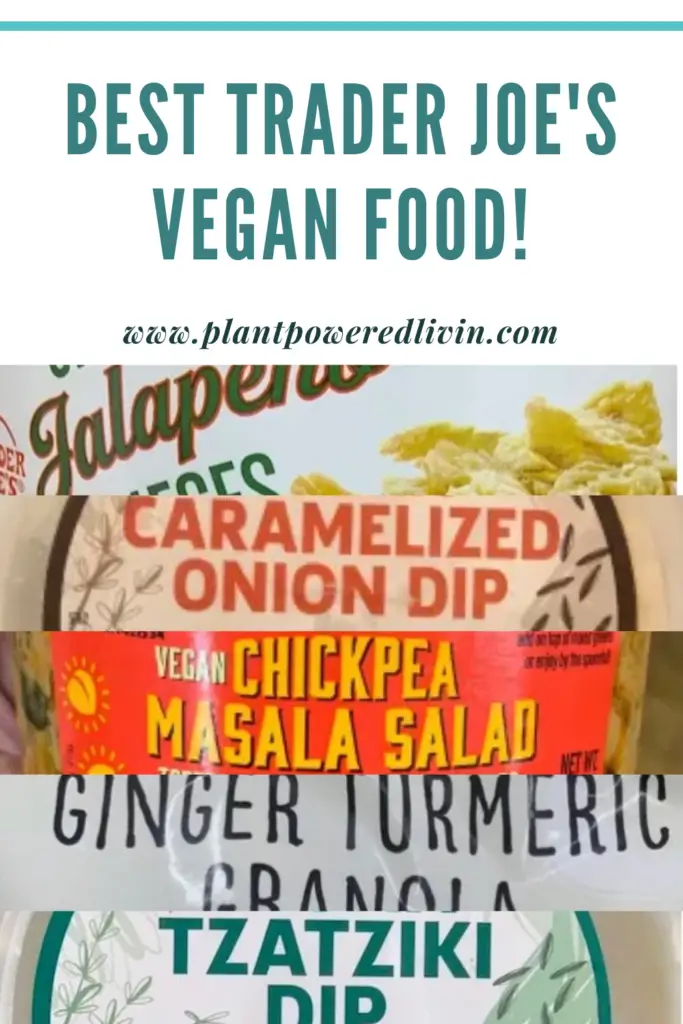 best trader joe's vegan food pin