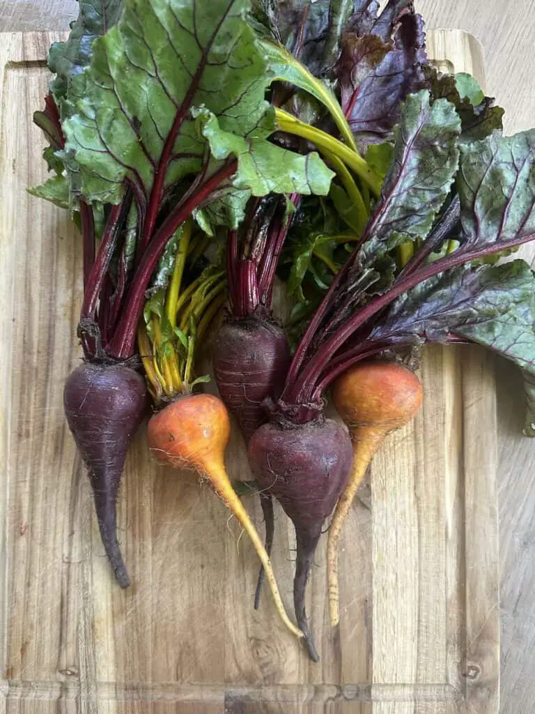 Gorgeous bunch of red and golden beets on cutting board.