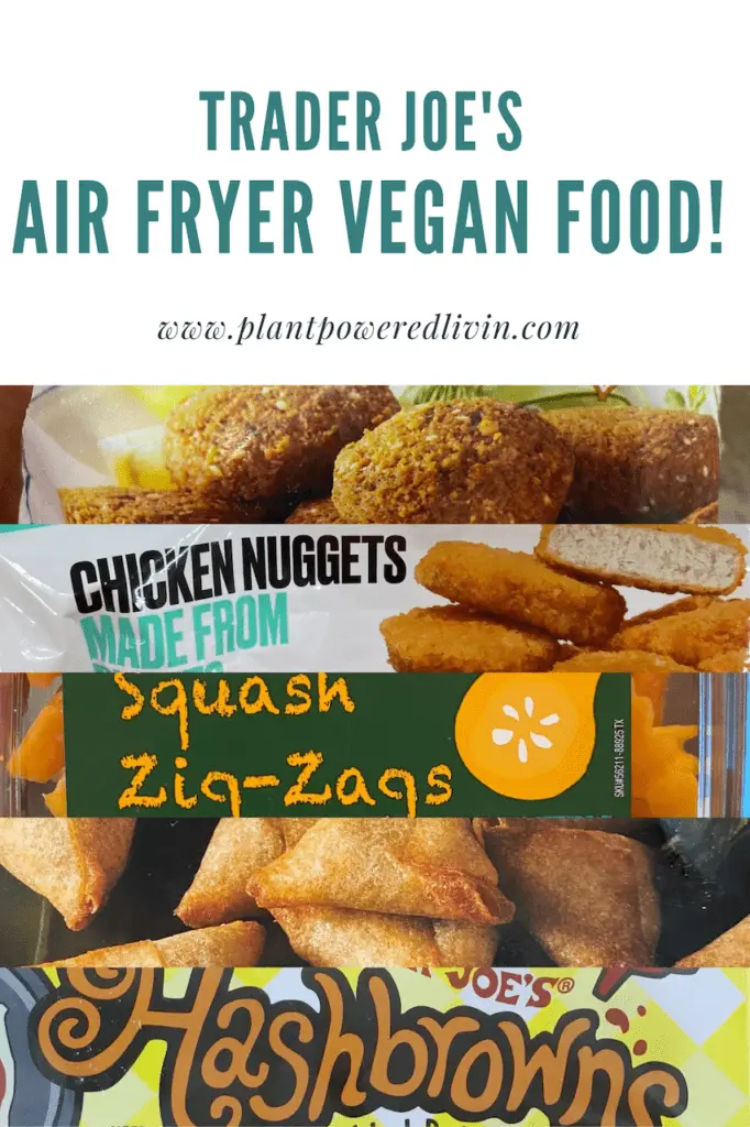 Trader Joe's air fryer vegan pin