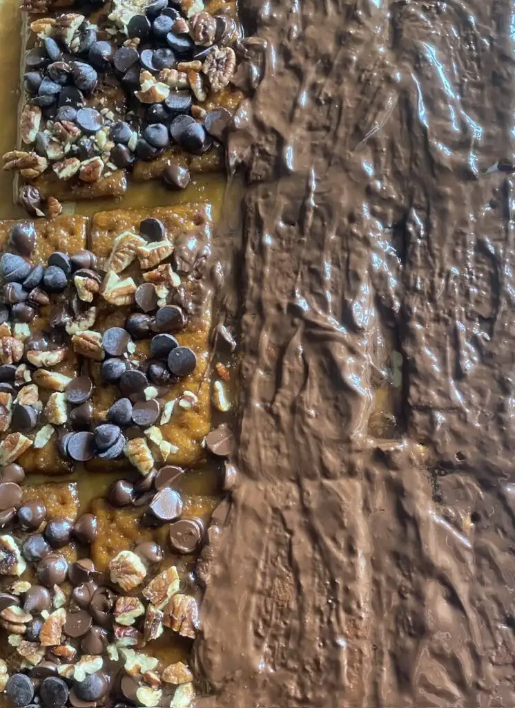 variety of toppings: chocolate chips and nuts on left; melted chocolate on right