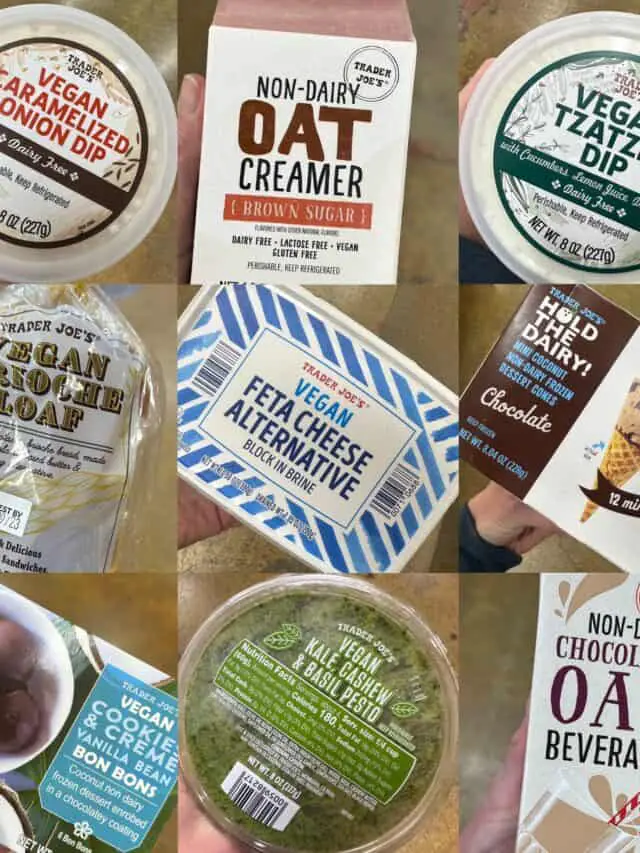 Collage of the best Trader Joe's dairy free items.