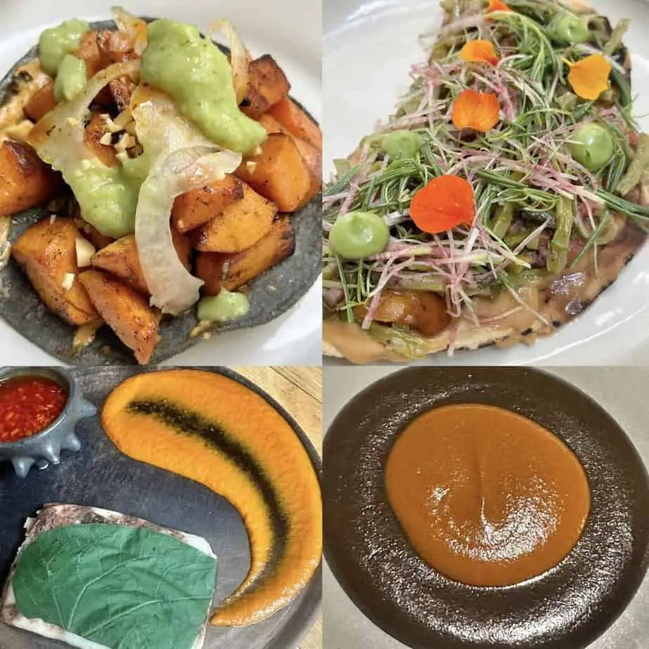 Collage of some of the top plant-based dishes in Mexico City!