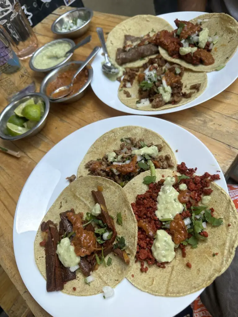 Two plates filled with an assortment of vegan tacos at Vegetal.
