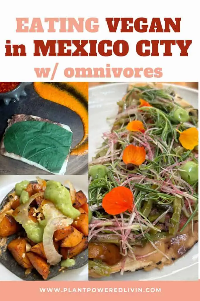 Pin of eating vegan in Mexico City with omnivores.