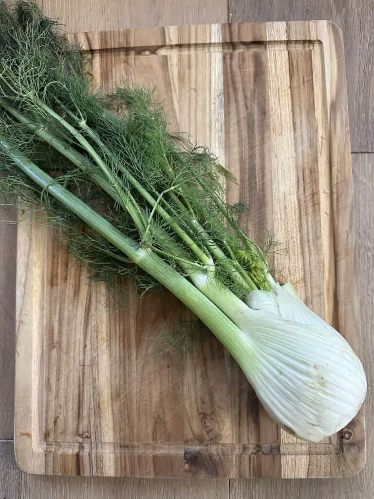 Whole raw fennel on cutting board.