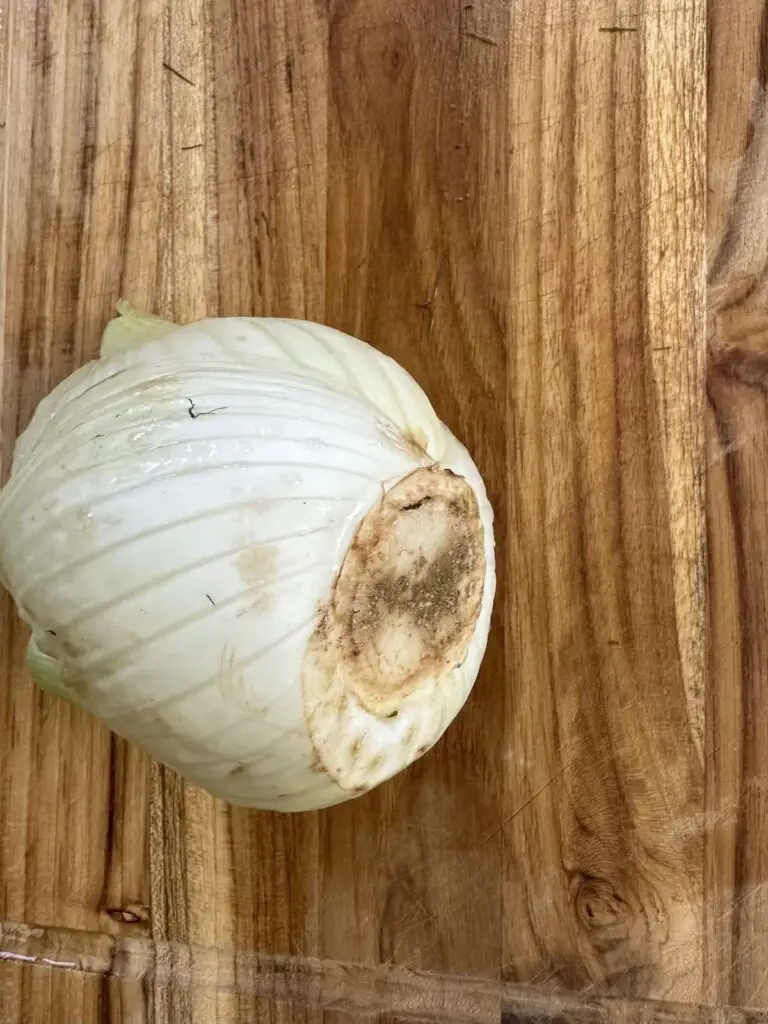 Dirty bottom of fennel bulb.