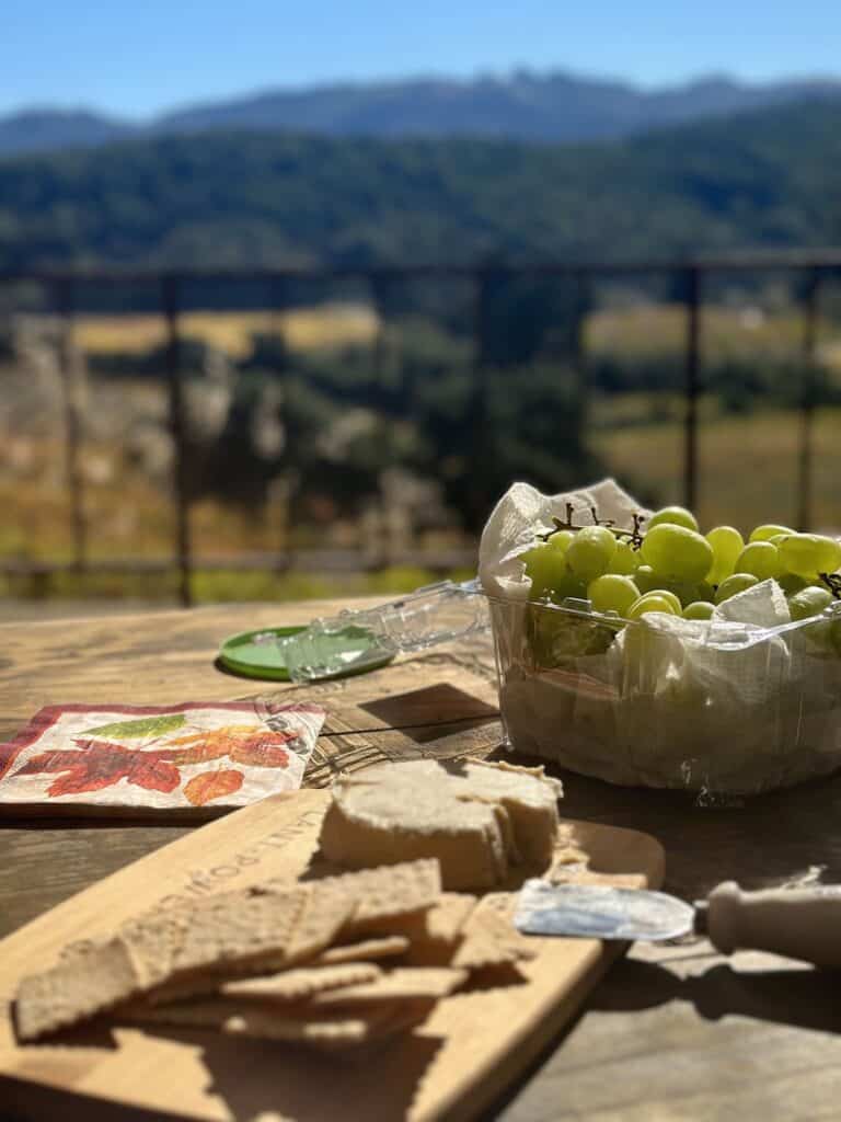 Vegan cheese and crackers with grapes on picnic table at Kicelstadt vineyards, the first stop on the perfect vegan wine day in Sonoma.